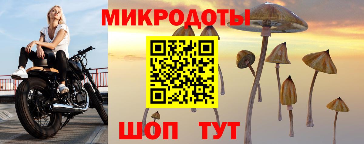 Вышний Волочёк  Псилоцибиновые грибы мицелий  Вход с VPN 